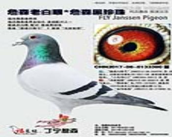 ղɭϰ*ղɭ顾ղɭ