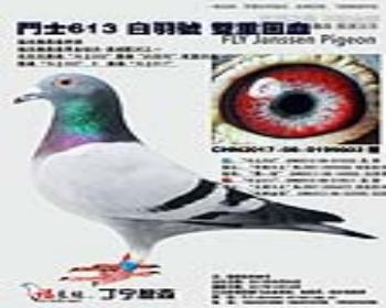 ˶ʿ613  ˫ػѪ
