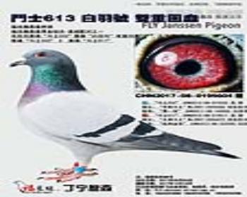 ˶ʿ613  ˫ػѪ