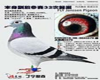 ѵŲ32ι鳲