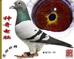 鿴ƷͼƬ