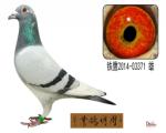 鿴ƷͼƬ