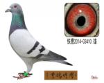 鿴ƷͼƬ